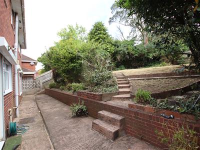 Picture 13